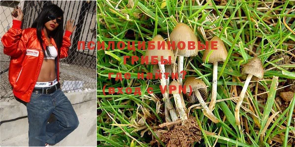ALPHA PVP Белокуриха