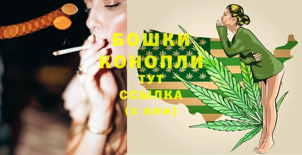 ALPHA PVP Белокуриха