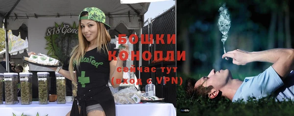 ALPHA PVP Белокуриха