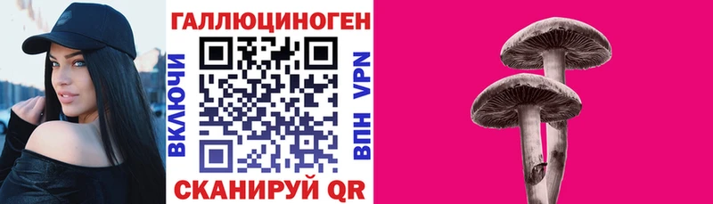 Галлюциногенные грибы мухоморы  Чегем 