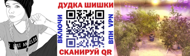 Бошки Шишки Ganja  закладки  Чегем 